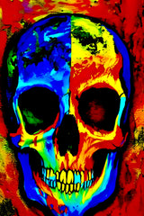 SkullX Poster och Canvastavla