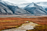Autumn in Longyearbyen Poster och Canvastavla