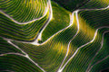 Douro Valley Poster och Canvastavla