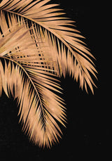 Golden palms black copper 1 Poster och Canvastavla