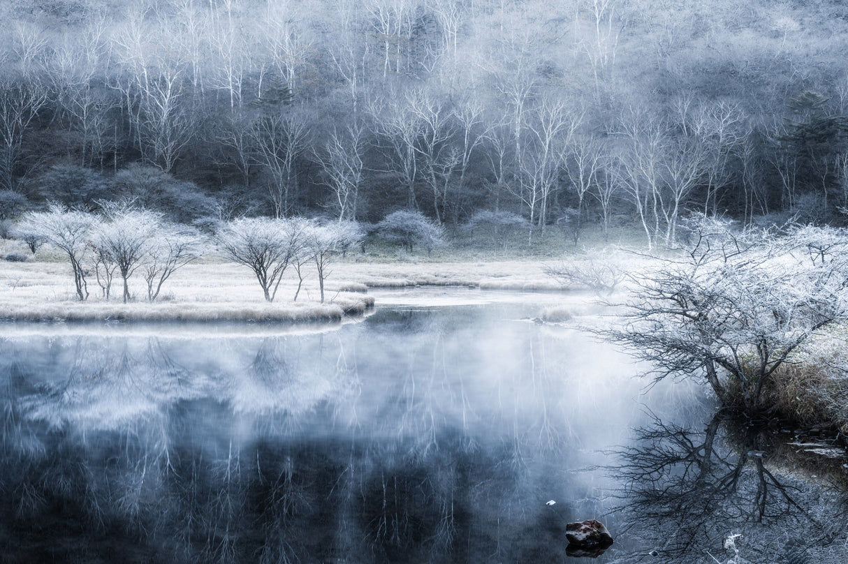 The frozen pond Poster och Canvastavla