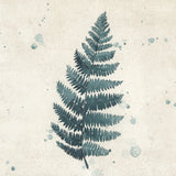Teal watercolor fern 3 Poster och Canvastavla