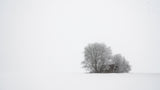 Winter silence Poster och Canvastavla
