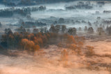Autumnal misty dawn Poster och Canvastavla