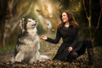 Enchanted by the leaves Poster och Canvastavla
