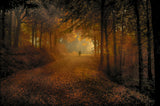 Strokes of light on a gloomy day Poster och Canvastavla