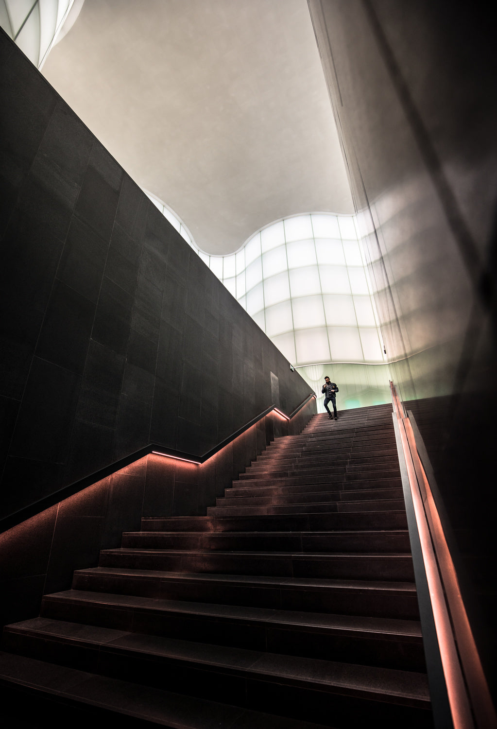 Staircase from Future Poster och Canvastavla