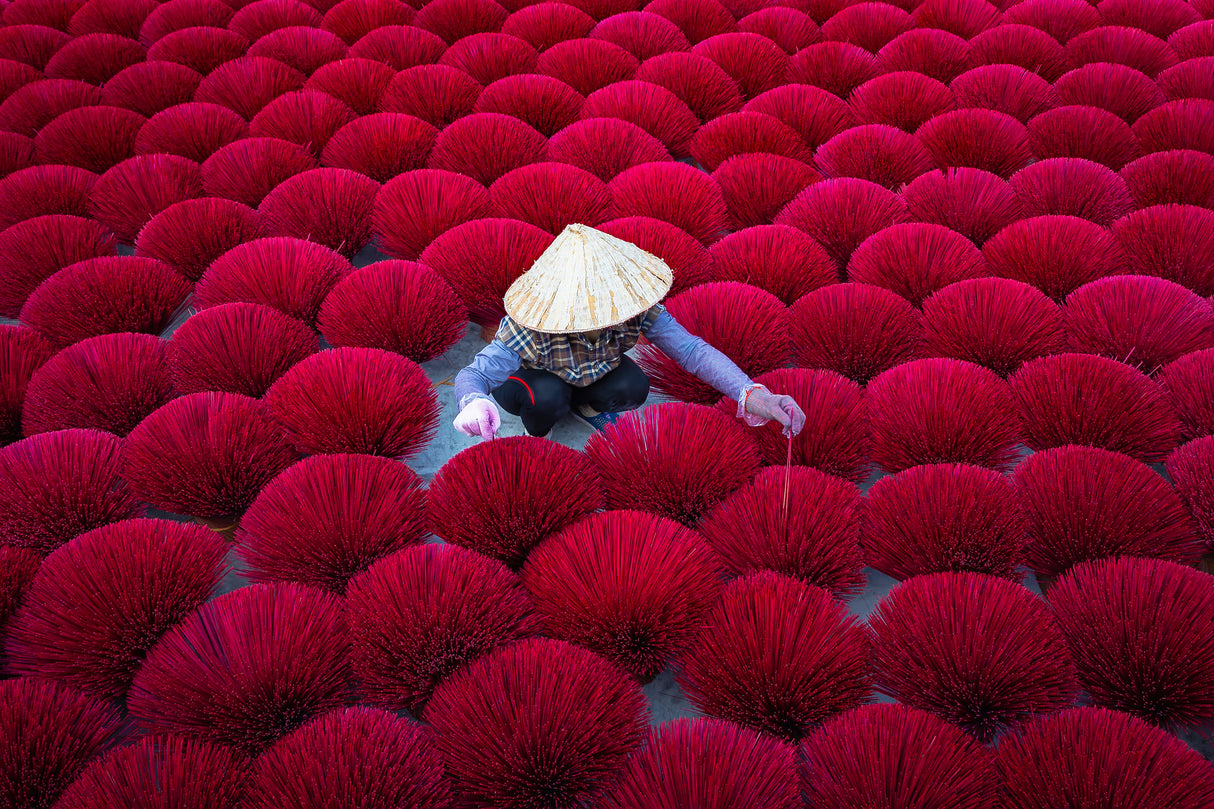 Quang Phu Cau Incense Village, Vietnam Poster och Canvastavla