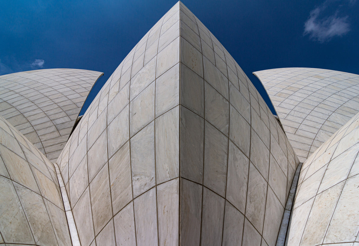 Shapes in Delhi Poster och Canvastavla
