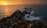 Good Morning, Kaka Point! Poster och Canvastavla
