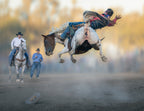 A Leap in the Air Poster och Canvastavla