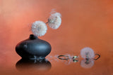 Dandelion Seed Poster och Canvastavla