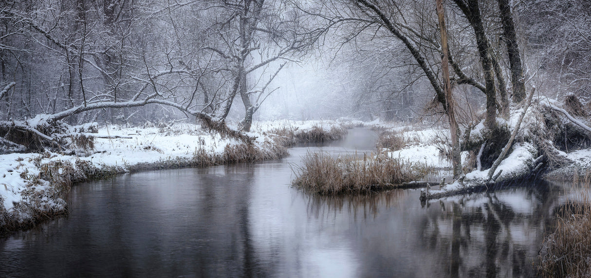 Winter Creek Poster och Canvastavla