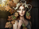 Autumn light Poster och Canvastavla