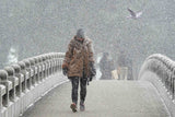 Snowstorm Bridge Poster och Canvastavla
