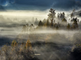 Misty morning Poster och Canvastavla