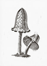 Vintage Inky Cap Edible Mushroom BW Bright Poster och Canvastavla