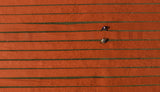 Red clothes drying Poster och Canvastavla