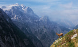 High in the mountains Poster och Canvastavla