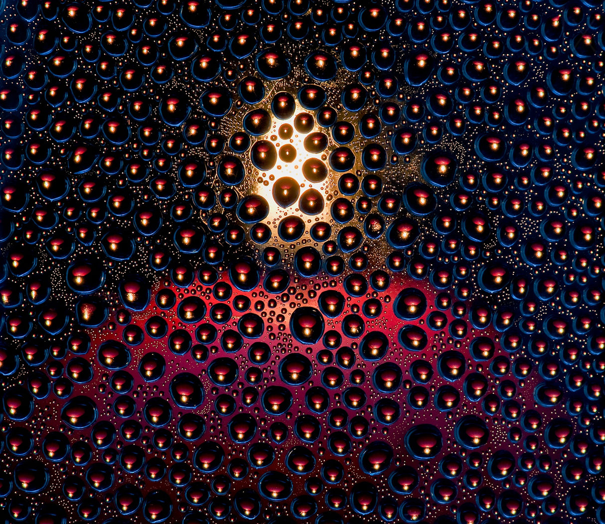 Rain of lights Poster och Canvastavla