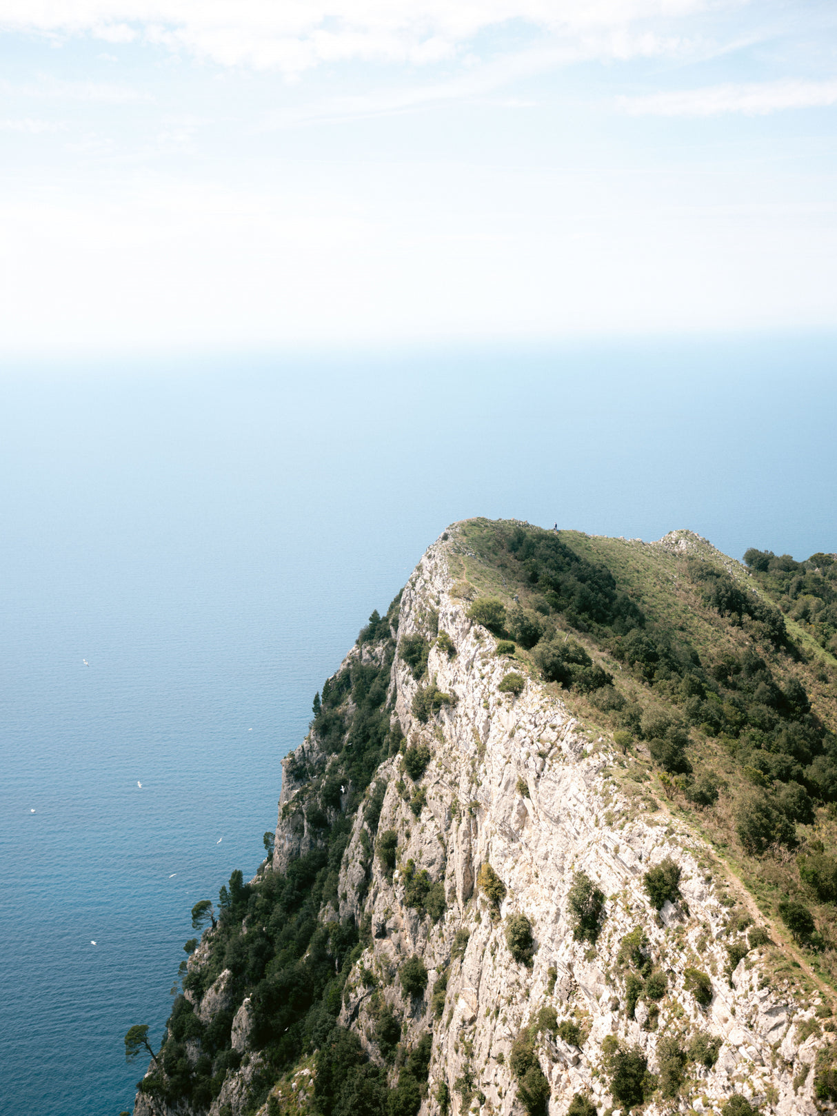 Mount Solaro Capri Poster och Canvastavla