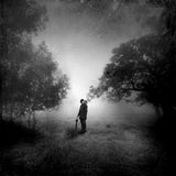 nobody listening Poster och Canvastavla