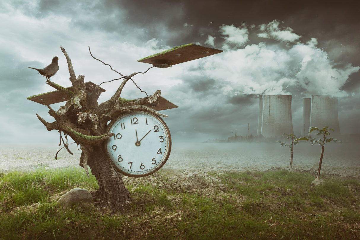 Time Flies Poster och Canvastavla
