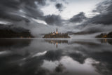 Misty morning on the lake Bled Poster och Canvastavla