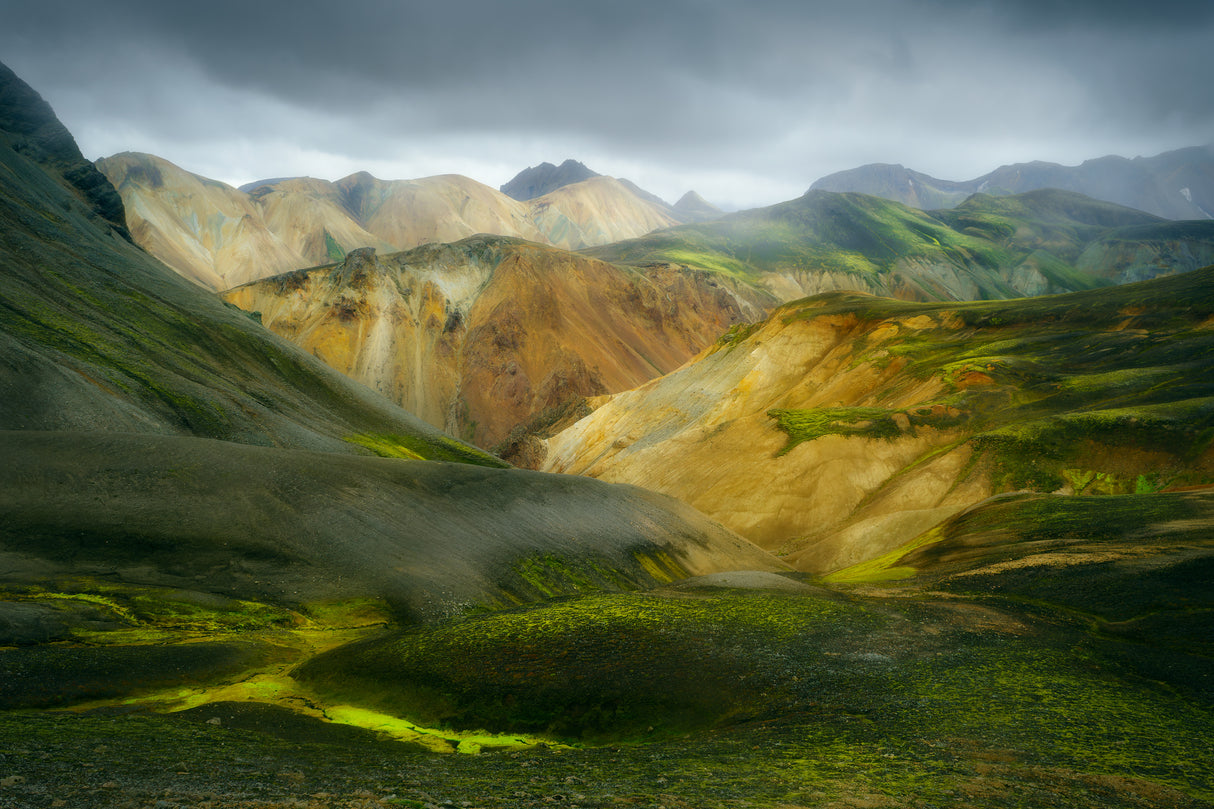 Moody day in the Highlands of Iceland Poster och Canvastavla