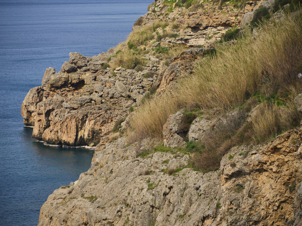 seascape and rocks Poster och Canvastavla