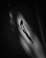 Shadow Poster och Canvastavla