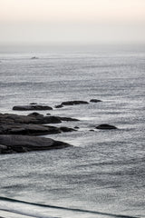 Silver Sands Poster och Canvastavla
