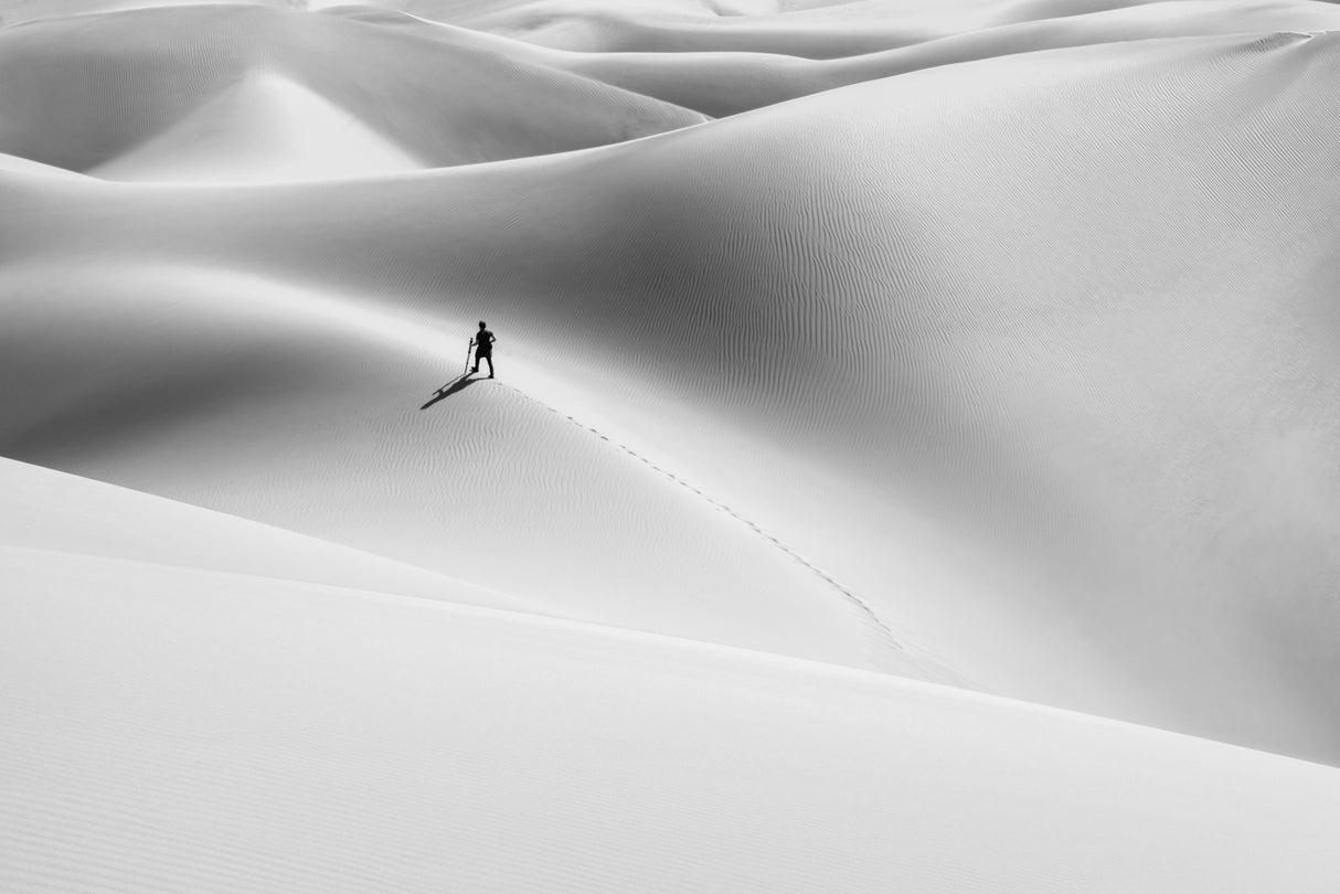 shadow of the desert Poster och Canvastavla