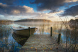 Autumn dreams Poster och Canvastavla