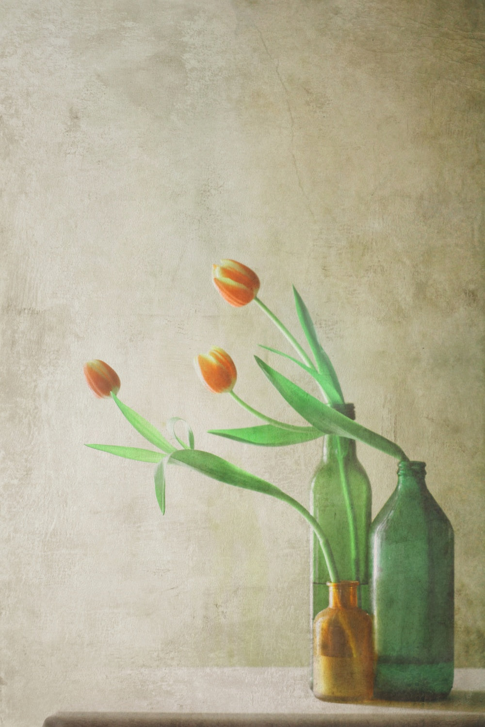 Three Tulips Poster och Canvastavla