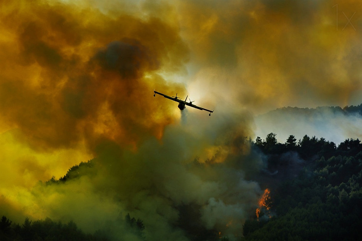Canadair aircraft in action - fighting for the salvation of the forest. Poster och Canvastavla