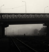 Monday foggy Poster och Canvastavla