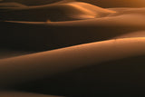 Light in Desert Poster och Canvastavla
