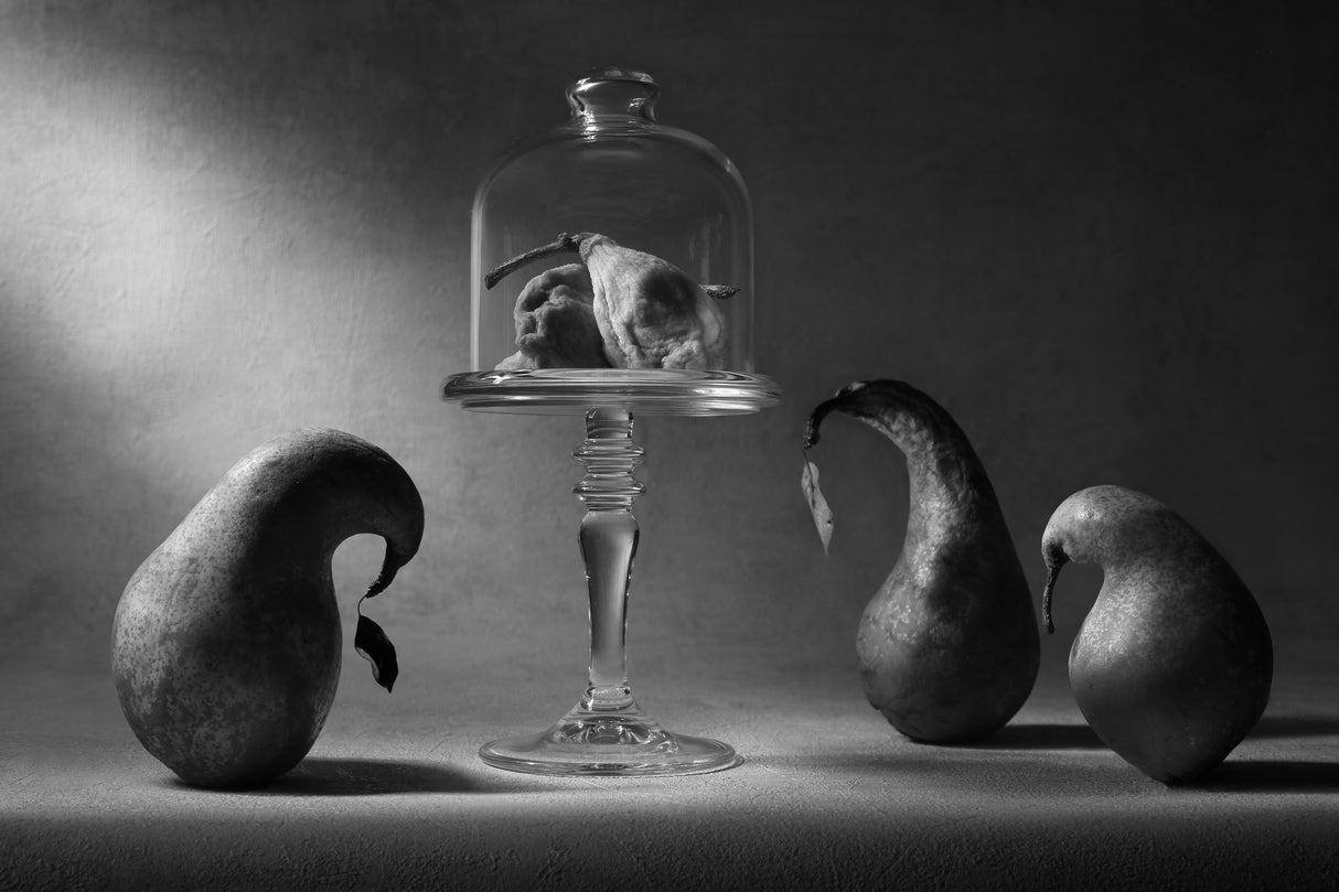 Dried fruit. The sad farewell... Poster och Canvastavla