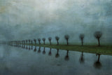 Reflection Poster och Canvastavla