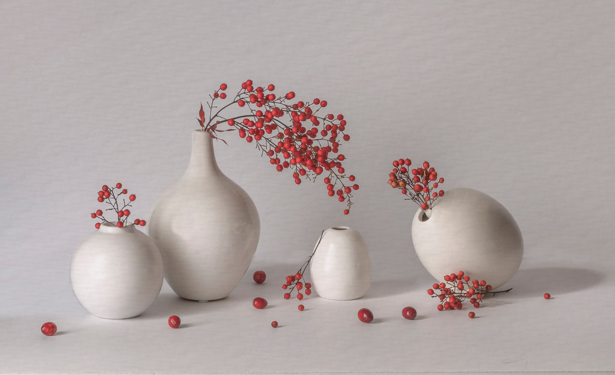 "Snow" Berries Poster och Canvastavla