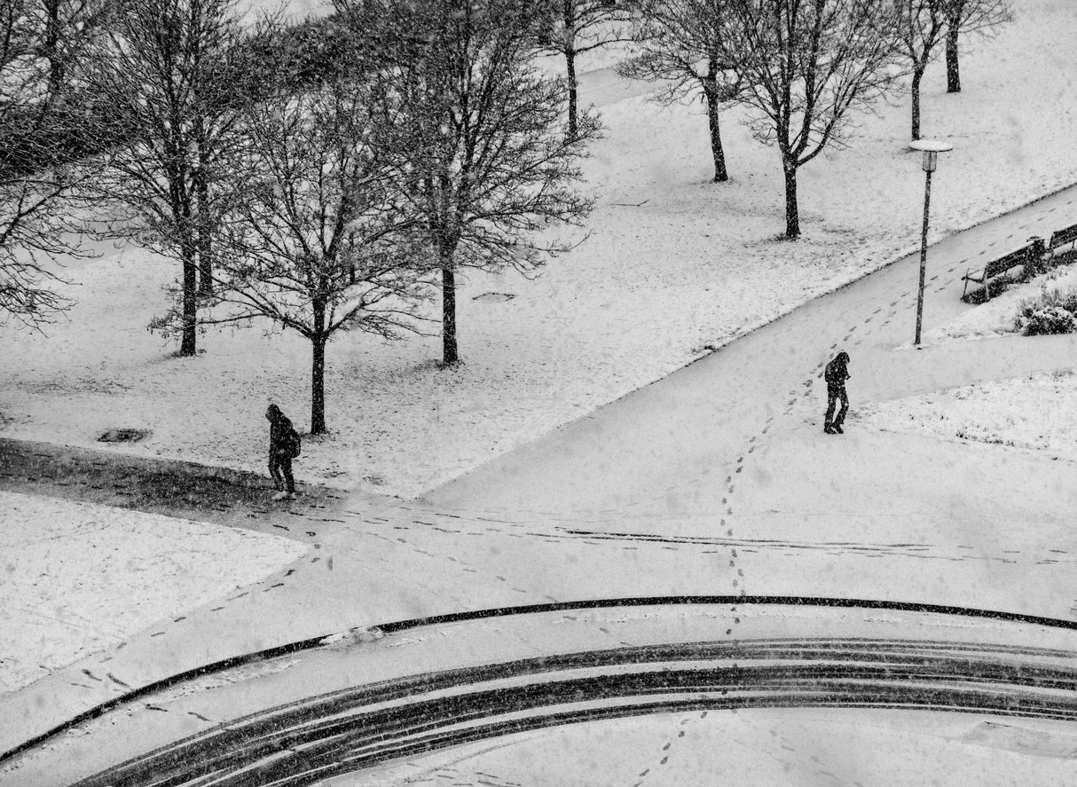 Under the snowfall Poster och Canvastavla