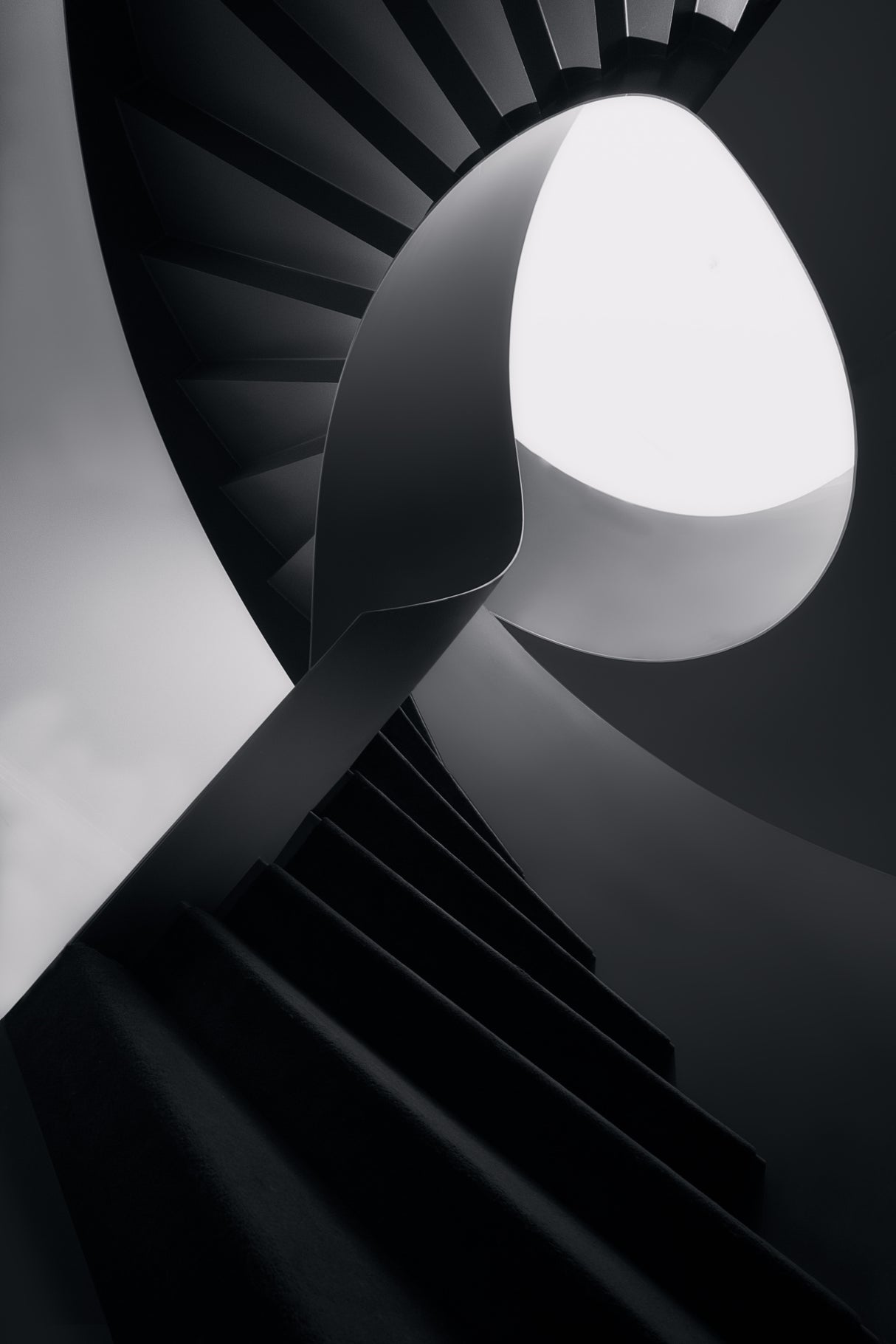 Round lines Poster och Canvastavla