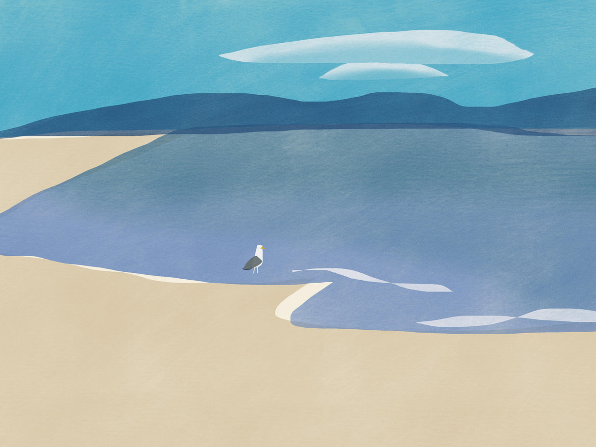 Seagull Watching Distant Cloud Poster och Canvastavla