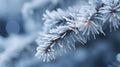 Winter Impressions No 8 Poster och Canvastavla
