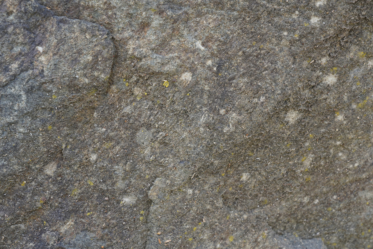 Tex Surface S42 Poster och Canvastavla
