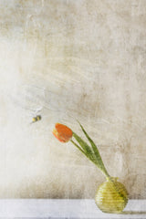Law of Attraction Poster och Canvastavla