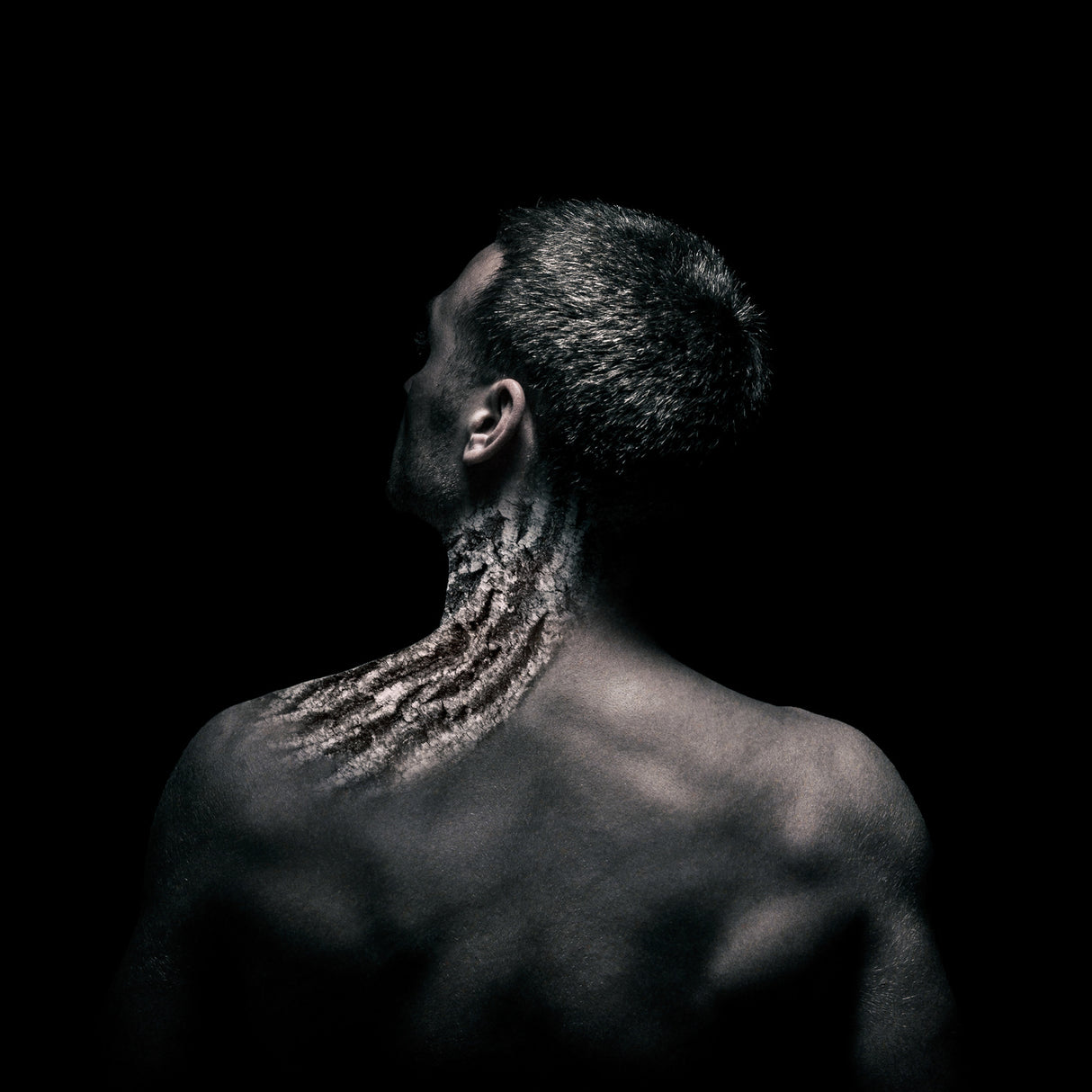 Torticollis Poster och Canvastavla
