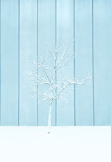 A lonely Snow Tree Poster och Canvastavla
