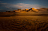 Desert Poster och Canvastavla